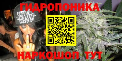 прущие крисы Севастополь